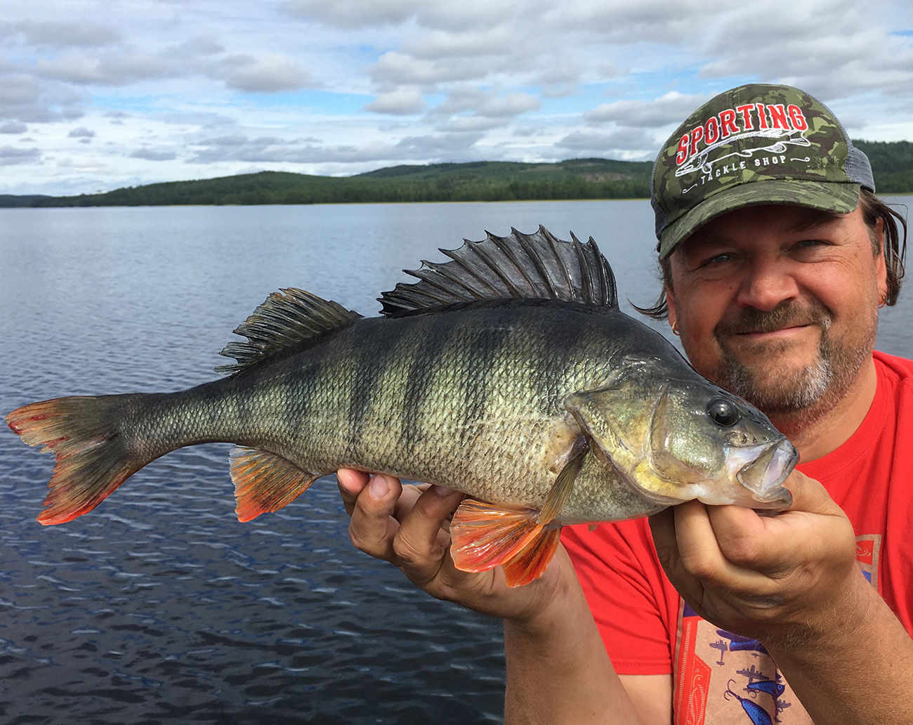 Westin W3 Finesse Ned 2nd - 7'3''/218cm M 6-20g